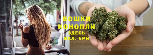 PSILOCYBIN Бронницы