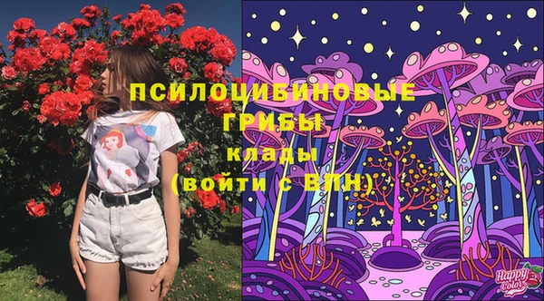 PSILOCYBIN Бронницы
